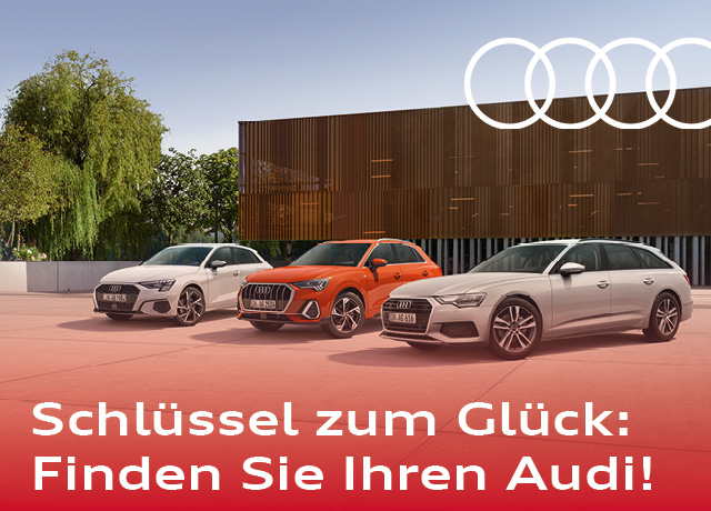 Audi Bestellumfrage